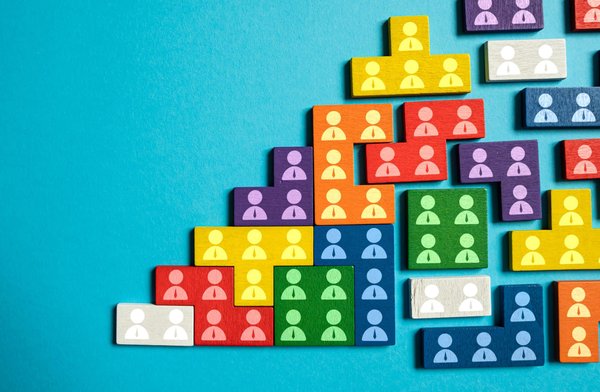 Intégrer un nouvel arbre à chat pour un chat adulte