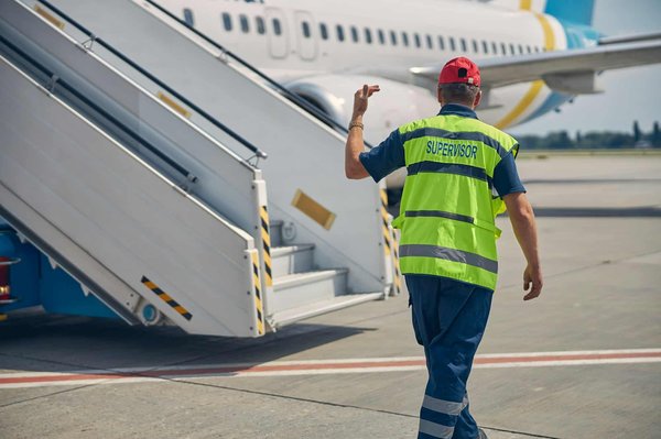 Croquettes chien : le guide ultime sur maître croquettes